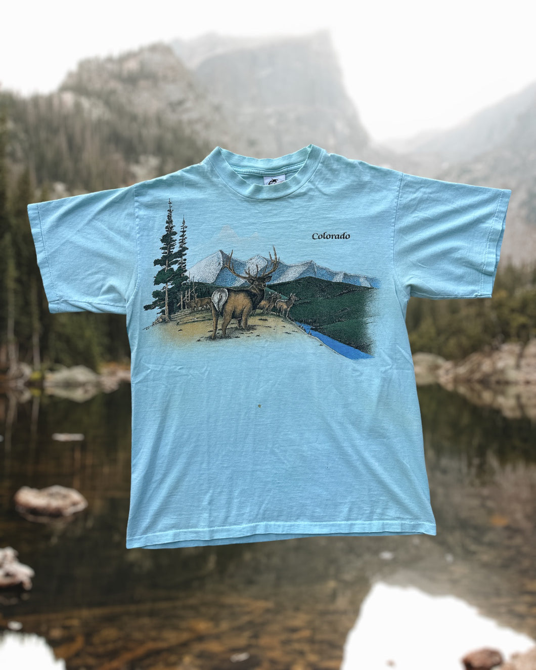 Vintage Colorado T-shirt - L