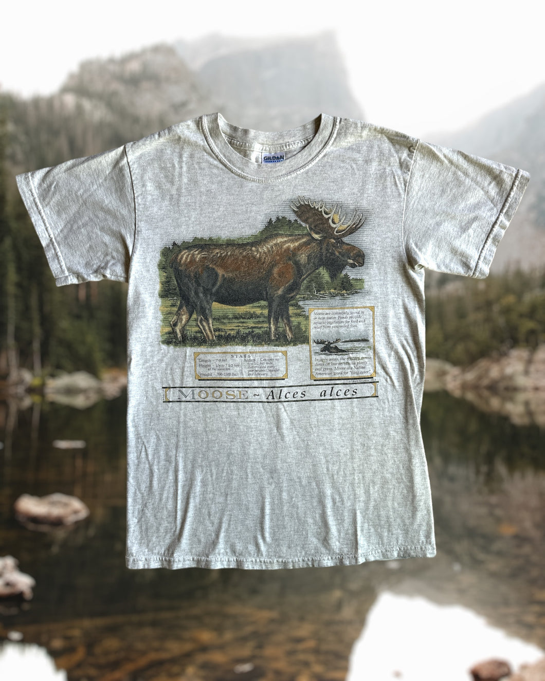 Vintage 90’s Moose Tee - S