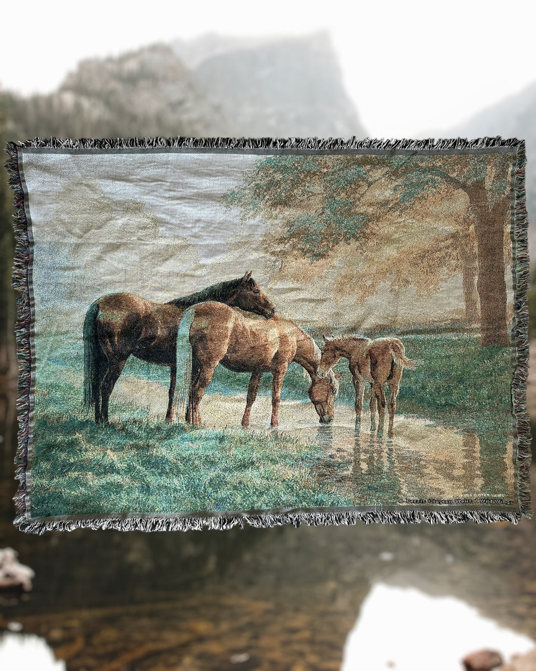 Vintage Horse Throw Blanket
