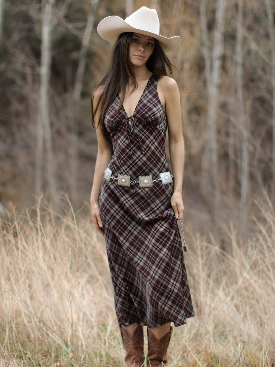 Ansel Plaid Dress