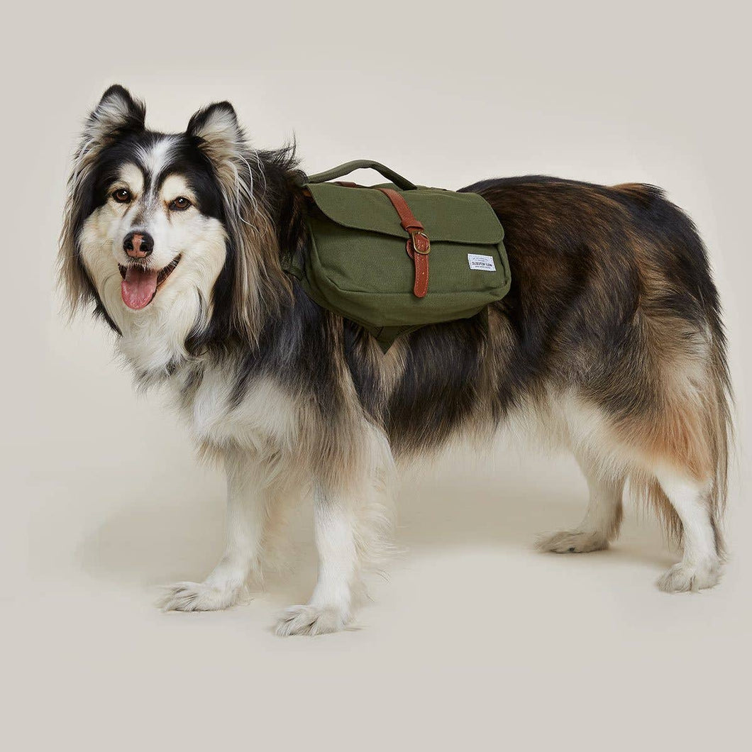 Ranger Pack Dog Backpack