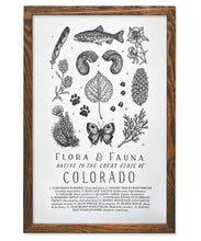 Load image into Gallery viewer, Colorado Field Guide Art Print
