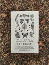 Load image into Gallery viewer, Colorado Field Guide Art Print
