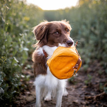 Load image into Gallery viewer, Waxed Canvas &amp; Vegan Leather Travel Dog Bowls
