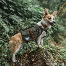 Load image into Gallery viewer, Ranger Pack Dog Backpack
